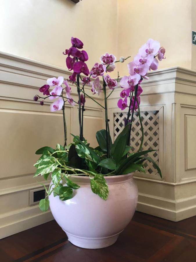 B&B Villino Margherita Rome Buitenkant foto